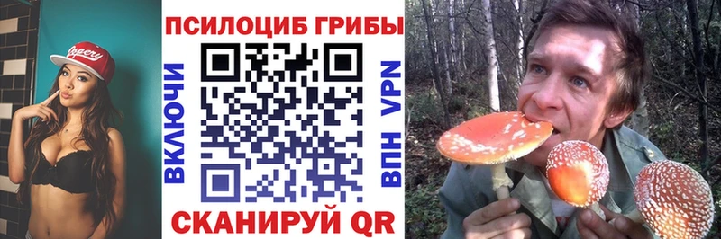 наркотики Волгореченск MEGA онион Галлюциногенные грибы мицелий